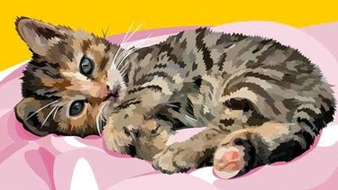 Diamond Painting Lieve Kitten met Ronde steentjes 100x55cm - Beste Kwaliteit